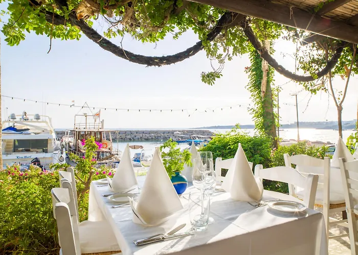 Hotell Coral & Cyprus 5*