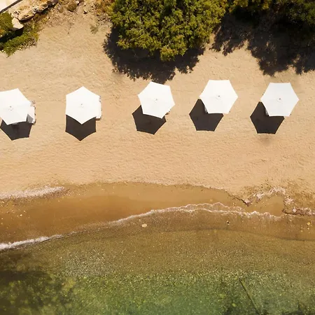 Coral & Cyprus Coral Bay