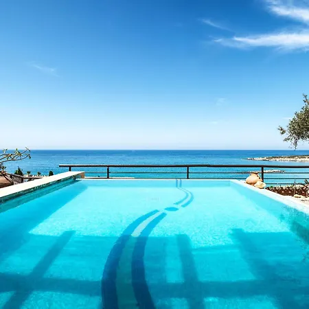 Coral & Cyprus