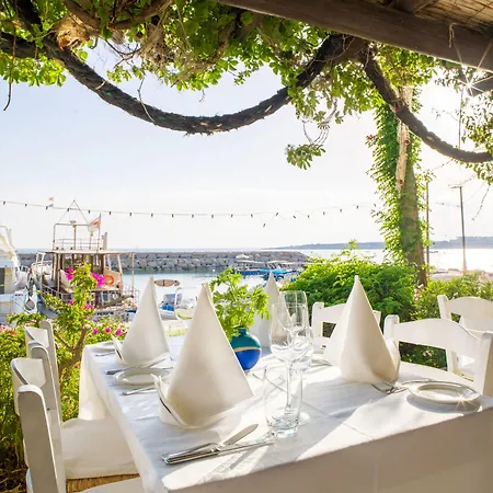 Hotel Coral & Cyprus 5*